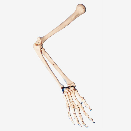 ֱ۹ιǡiģ